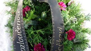 Zahradnictví U Chlubnů - Jitka Mondadová - profilová fotografie