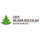 Lesy Mladá Boleslav, a.s. - logo