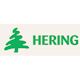 Vnitrostátní a mezinárodní doprava - Ing. Jan Hering - logo