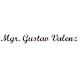 Valenz Gustav Mgr. - logo