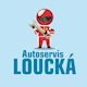 Daniel Altmann autoservis-pneuservis Loucká - logo