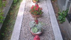 Květinářství Bouzek - profilová fotografie