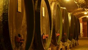 Templářské sklepy Čejkovice, vinařské družstvo - profilová fotografie