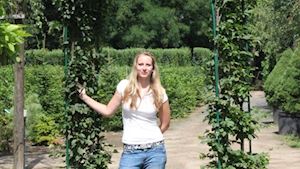 Zahradnictví Jelínek Veltrusy - profilová fotografie