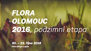 Flora Olomouc 2016 - podzimní etapa