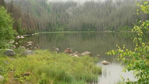 Správa Národního parku a chráněné krajinné oblasti Šumava