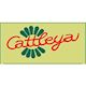 CATTLEYA - velkoobchod květin a bytové dekorace - logo