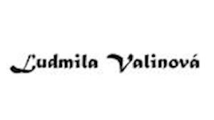 Daňová a účetní kancelář - Valinová Ludmila