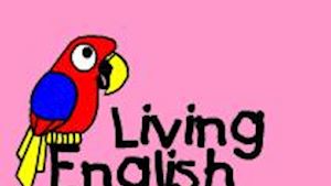 Living English, Jana a Jean-Marie Vandewinkel - agentura pro vzdělávání v oblasti cizích jazyků