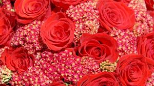 Květiny Eva Lojínová
