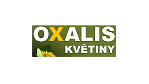 Květiny Oxalis