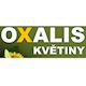Květiny Oxalis - logo