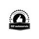 DZ AUTOSERVIS - logo