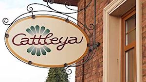 CATTLEYA - velkoobchod květin a bytové dekorace - profilová fotografie