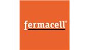 FERMACELL GmbH, organizační složka