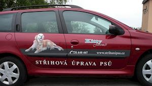Salon pro úpravu psů a koček KITTY Hradec Králové - profilová fotografie