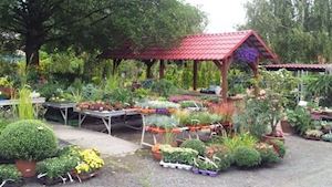 Zahradnické centrum - profilová fotografie