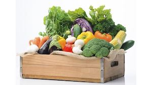 TERCIE - velkoobchod ovoce a zeleniny