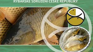 Rybářské sdružení České republiky - profilová fotografie