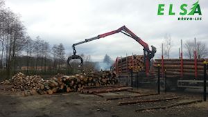 Palivové dřevo ELSA