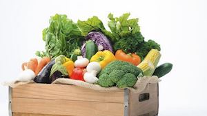 Východočeská zelenina - družstvo producentů zeleniny