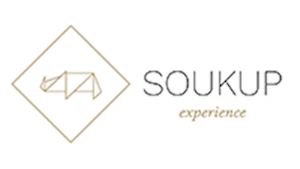 SOUKUP EXPERIENCE a. s.