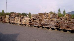 Moravskotřebovské dřevařské závody s.r.o. - profilová fotografie