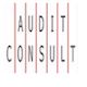 AUDIT CONSULT, a.s. - logo