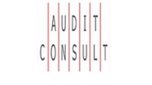 AUDIT CONSULT, a.s.