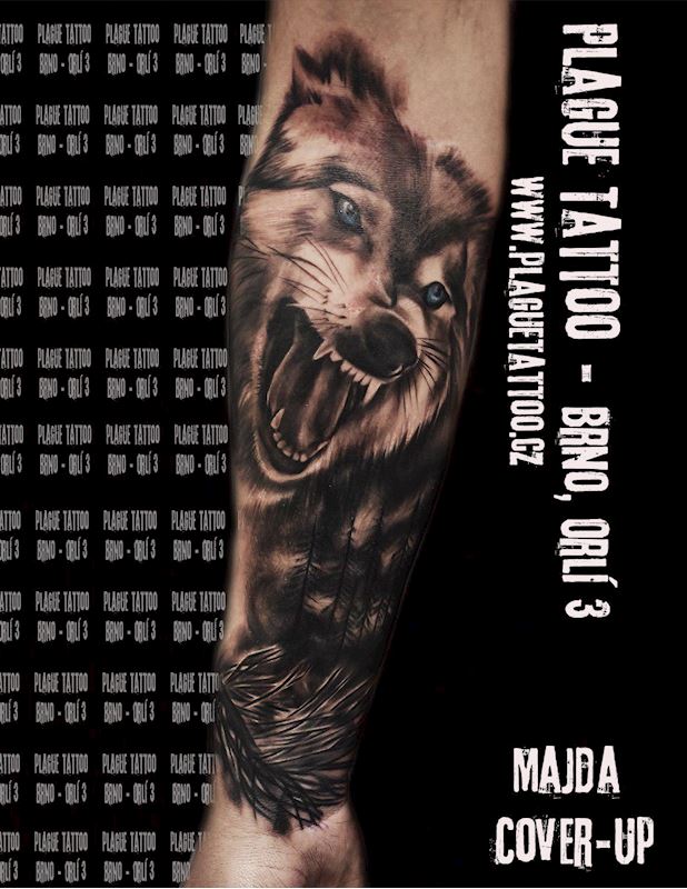Plague Tattoo - Tetování Brno - fotografie 12/15