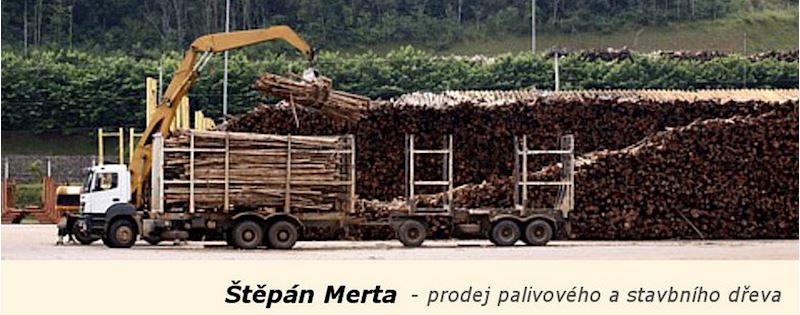 PILA DERFLICE  - Štěpán Merta - prodej dřeva - fotografie 1/11