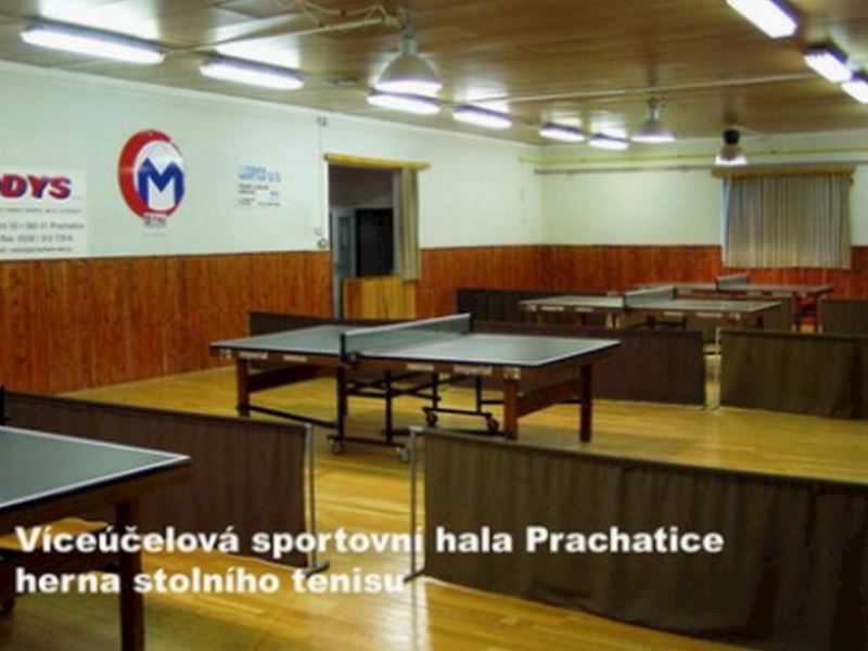 Sportovní zařízení Prachatice, p.o. - fotografie 6/11