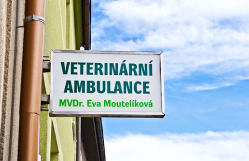 Veterinární praxe - MVDr. Eva Moutelíková - fotografie 1/12